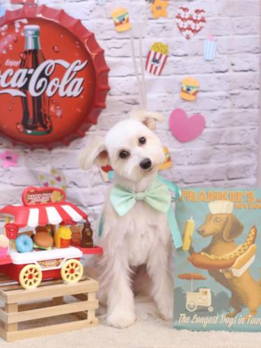 20230930風太郎くん